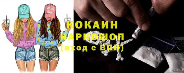 гидра Кулебаки